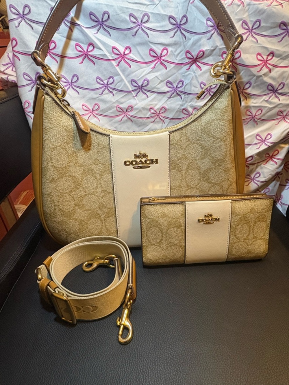 Coach Teri hobo and wallet set